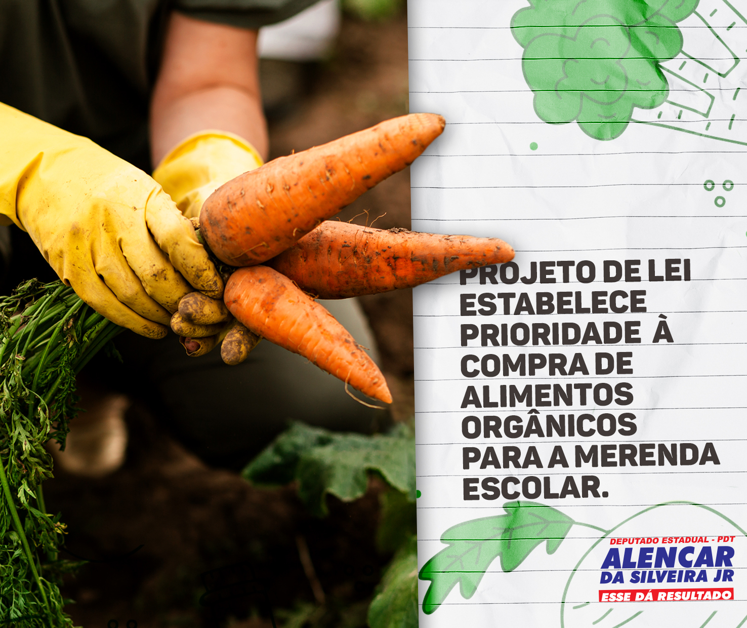 Deputado Alencar da Silveira Jr - Escolas estaduais serão obrigadas a priorizar alimentos orgânicos na merenda